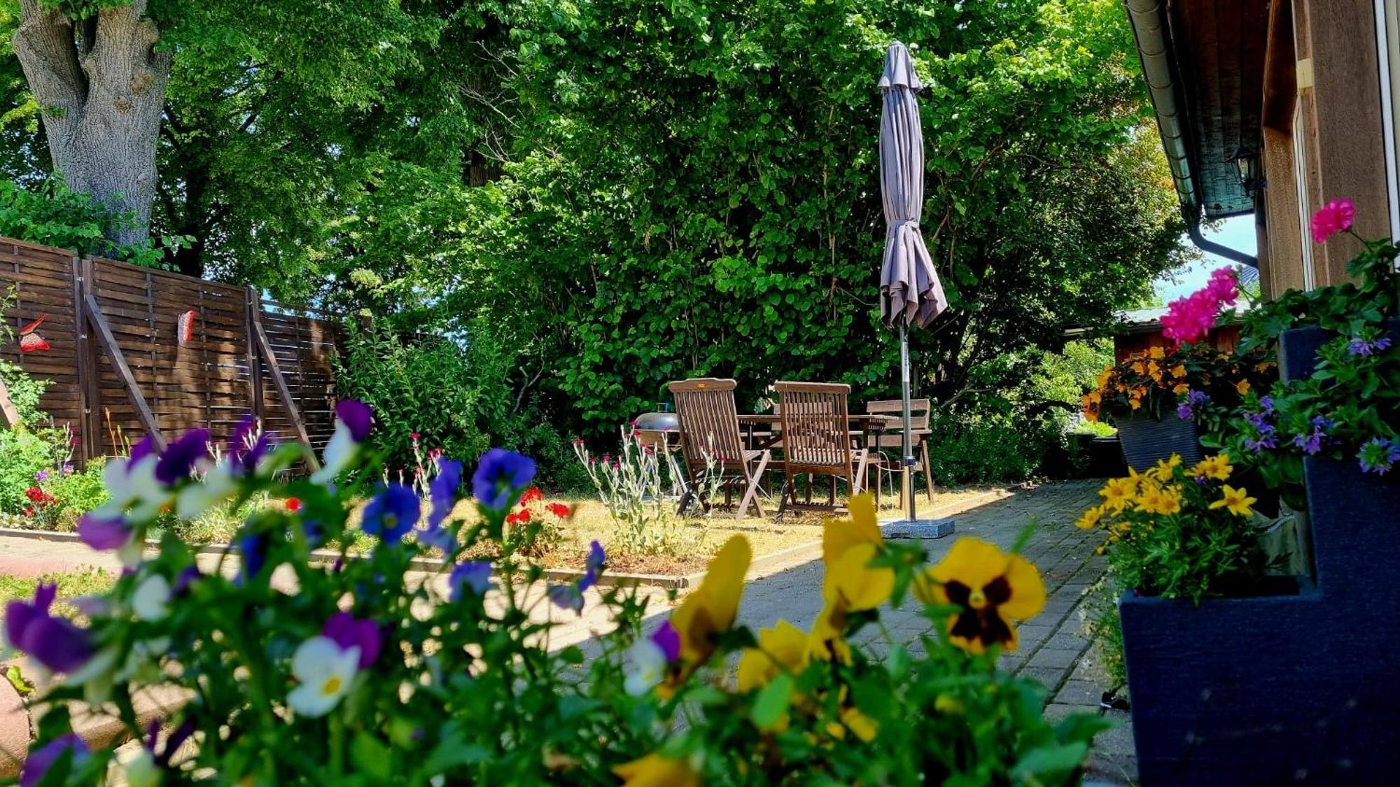 W5 - Urlaubsmagie - Wohnung Mit Grill, Terrasse & Pool Lichtenhain  Eksteriør billede